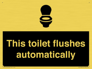 This toilet flushes automatically